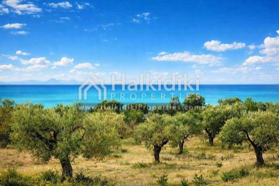 Νέα Προποντίδα